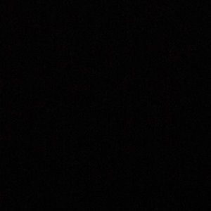 Meet your Posher, Bridget